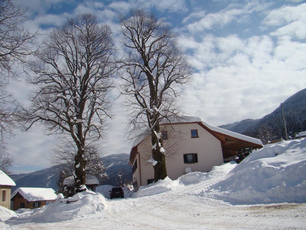 Villa Turisticna Kmetija Toman à Gornji Grad Extérieur photo