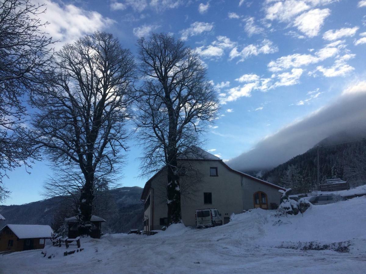 Villa Turisticna Kmetija Toman à Gornji Grad Extérieur photo