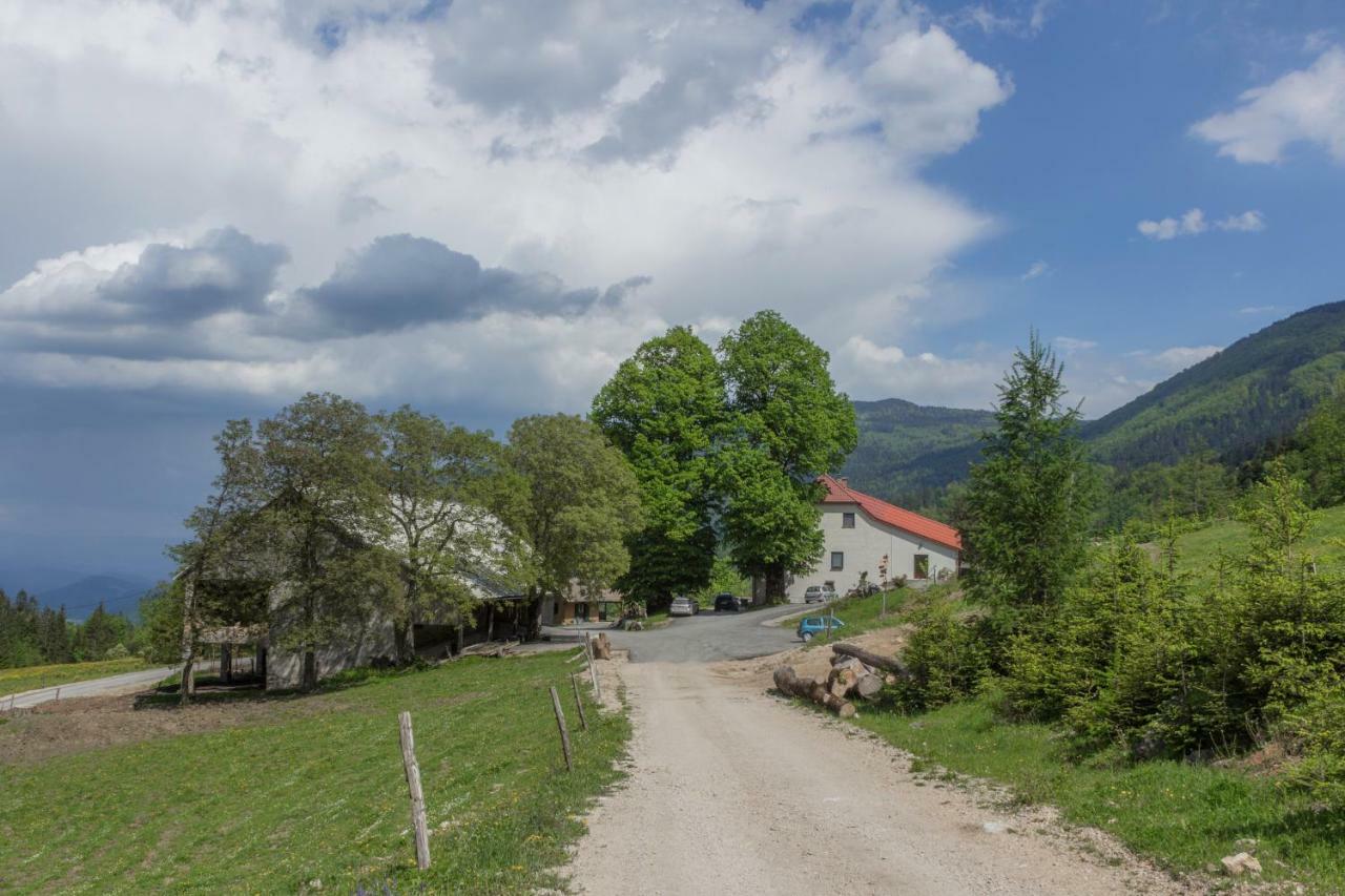 Villa Turisticna Kmetija Toman à Gornji Grad Extérieur photo