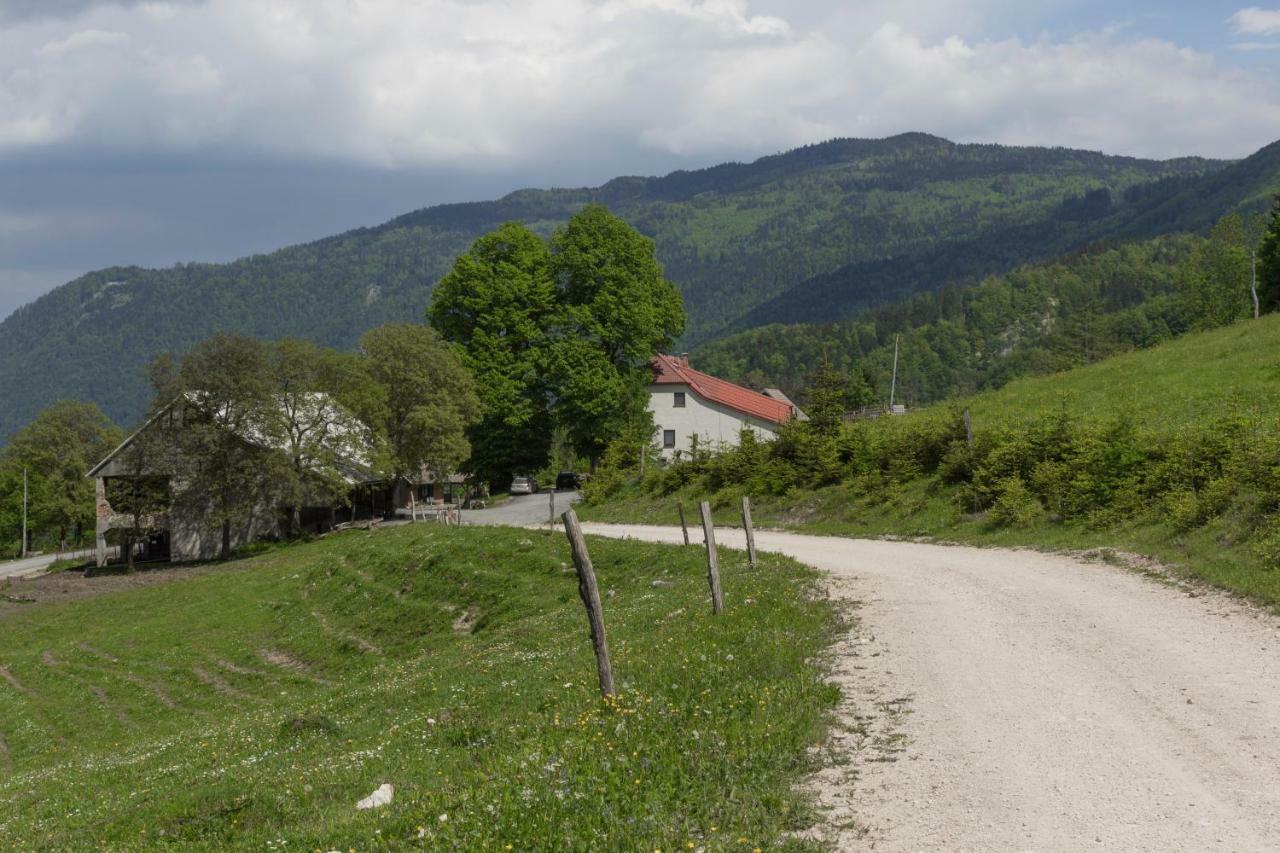 Villa Turisticna Kmetija Toman à Gornji Grad Extérieur photo