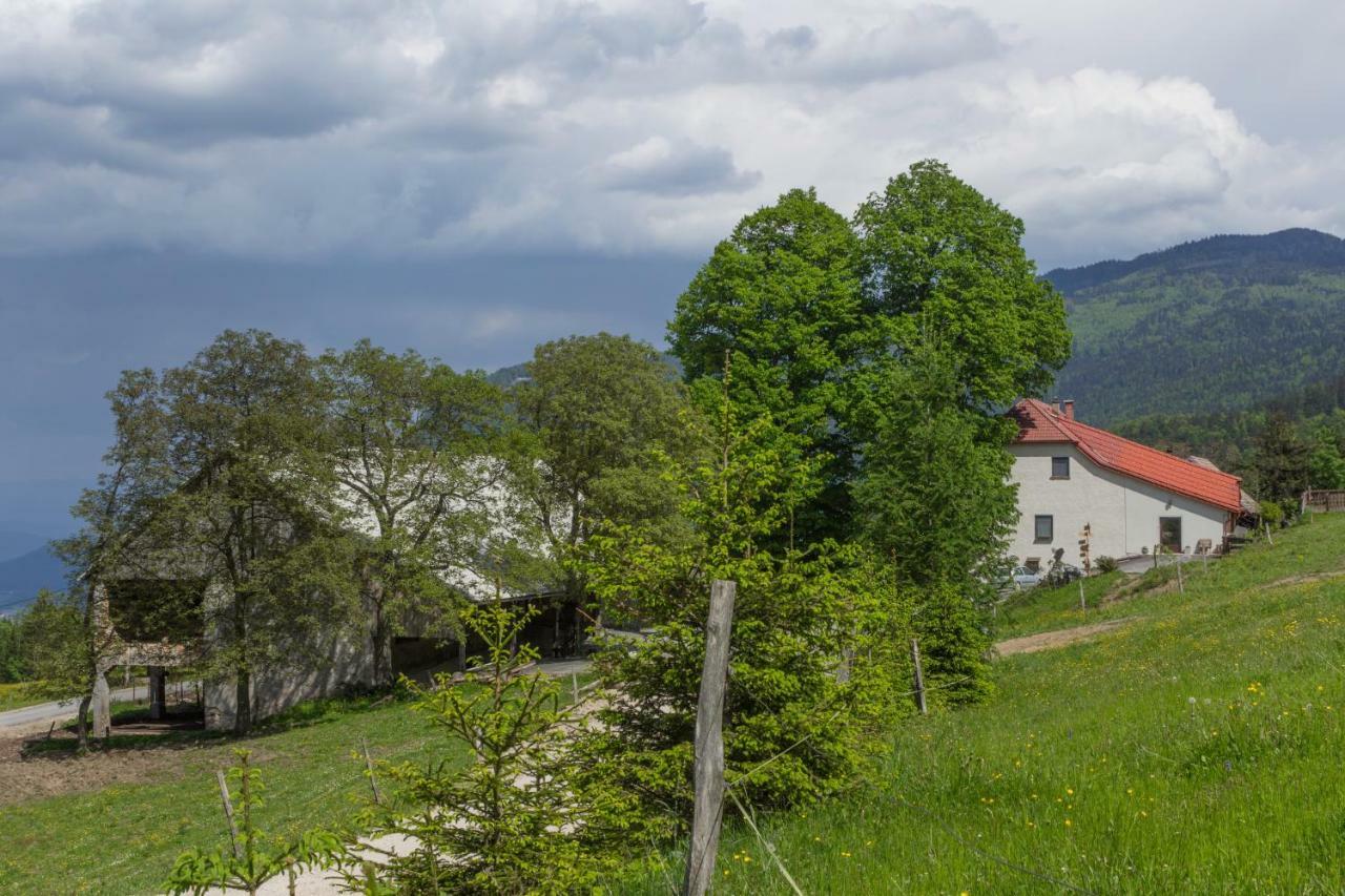 Villa Turisticna Kmetija Toman à Gornji Grad Extérieur photo